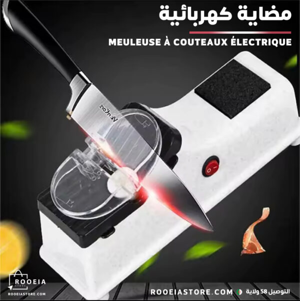 مضاية كهربائية meuleuse à couteaux électrique